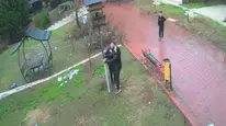 Adana'da kuş yuvası yıkan çocuklara mahkemeden ev hapsi!