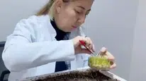 Erzurum'da Dondurucu Soğuğa Meydan Okuyan Tohum Devrimi