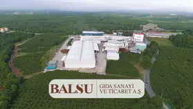 BALSU Hissesi İçin Hedef Fiyat Güncellendi: Getiri Potansiyeli Yüzde 60'ı Aştı!