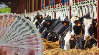 Borsada kritik cuma: 4 dev şirket yarın bilançosunu açıklıyor!