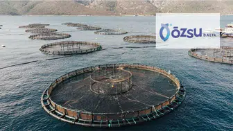 Özsu Balık’a Rekabet Kurumu’ndan Milyonluk Ceza Kararı