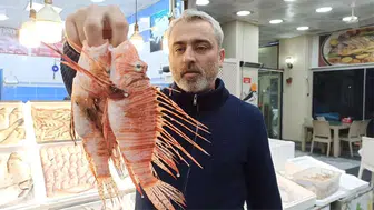 Deprem Bölgesi Esnafı İçin Kritik KOSGEB Çağrısı: Geri Ödemeler Ertelenecek mi?