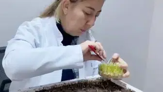 Erzurum'da Dondurucu Soğuğa Meydan Okuyan Tohum Devrimi