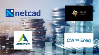 Pegasus (PGSUS) Hisselerinde Tarihi Zirve: BofA Alımlarıyla Rekor Kırıldı!