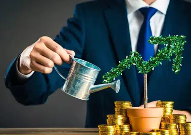 2026 Temettü Takvimi Belli Oldu! Hangi Hisse Ne Kadar Nakit Ödeyecek?