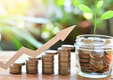 Borsada Devlerin Yarışı: THY ve Koç Holding'e Milyonluk Giriş