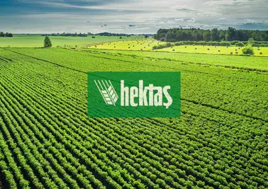 Hektaş'ta (HEKTS) Kartlar Yeniden Karılıyor: Dev SPK Başvurusu!