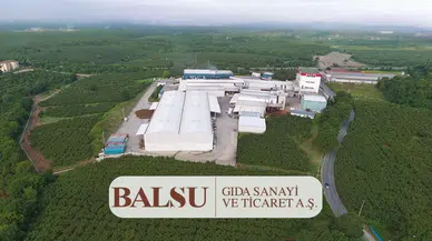BALSU Hissesi İçin Hedef Fiyat Güncellendi: Getiri Potansiyeli Yüzde 60'ı Aştı!