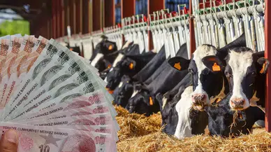 Borsada kritik cuma: 4 dev şirket yarın bilançosunu açıklıyor!