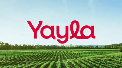 Yayla Gıda Hisselerinde Hedef Fiyat Revizesi: YYLGD İçin %34 Potansiyel!