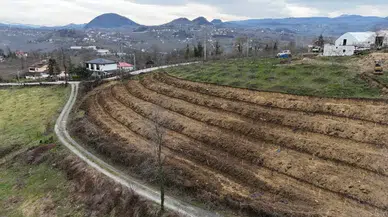 Bakırköy'de Film Sahnelerini Aratmayan Soygun: 30 Milyon Dolar Çalındı