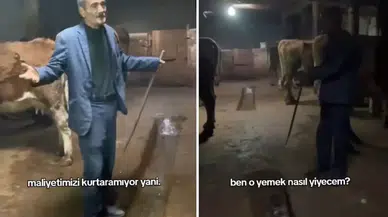 Hayvancılıkta Yem Krizi Derinleşiyor: Bir Torba Yem 900 TL Oldu