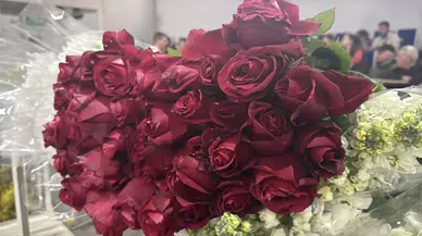 Yalova'da Sevgililer Günü Çiçek Mezadı: Kırmızı Gül Stokları Tükendi!