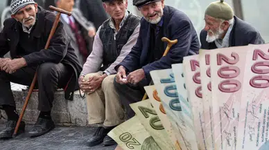 Türkiye'de tek tırnaklı hayvan varlığı alarm veriyor: At ve eşek sayısı dibe vurdu