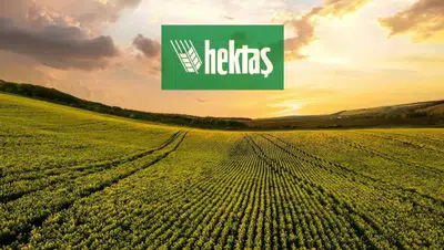 Hektaş Hisselerinde İş Yatırım'dan Dev Alım: 44 Milyon Lot!