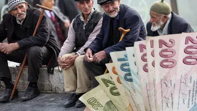 Türkiye'de tek tırnaklı hayvan varlığı alarm veriyor: At ve eşek sayısı dibe vurdu