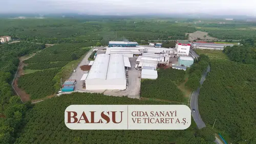 BALSU Hissesi İçin Hedef Fiyat Güncellendi: Getiri Potansiyeli Yüzde 60'ı Aştı!