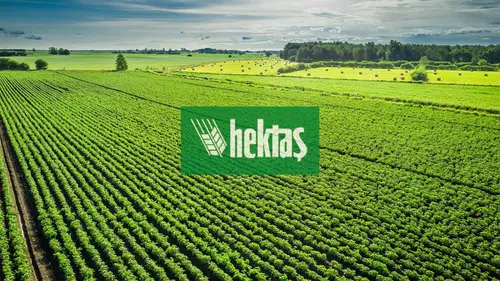 Hektaş'ta (HEKTS) Kartlar Yeniden Karılıyor: Dev SPK Başvurusu!