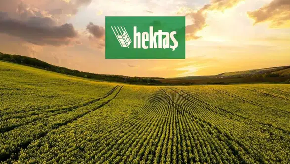 Hektaş Hisselerinde İş Yatırım'dan Dev Alım: 44 Milyon Lot!