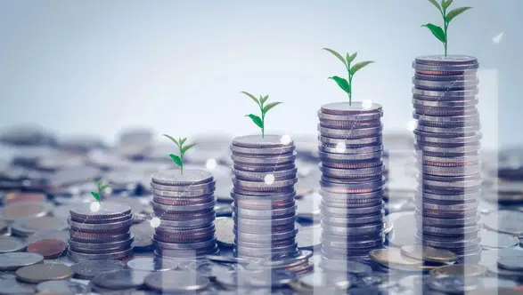 Gündoğdu Gıda Temettü Kararını Açıkladı: Yatırımcıyı Ne Bekliyor?