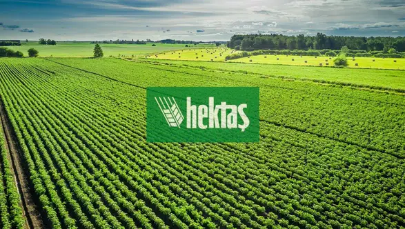 Hektaş Hisselerinde İmtiyazlı Pay Dönemi mi Başlıyor?