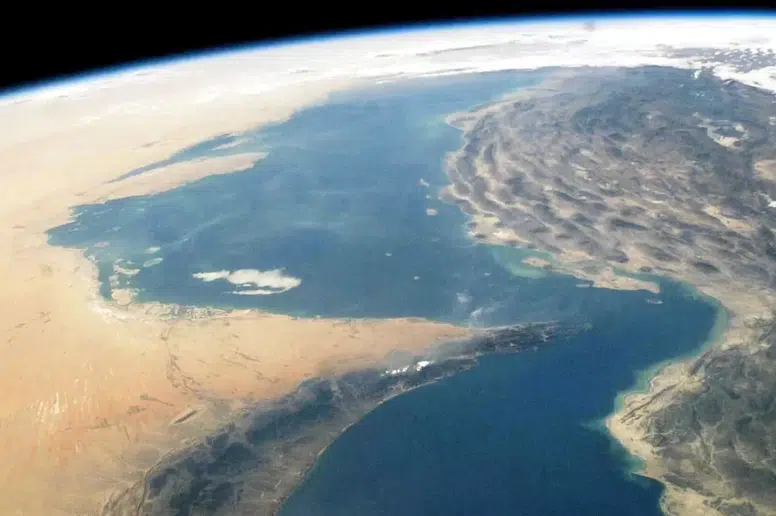 Alarko Holding'de Yönetim Değişimi: Yeni Adaylar Kim?