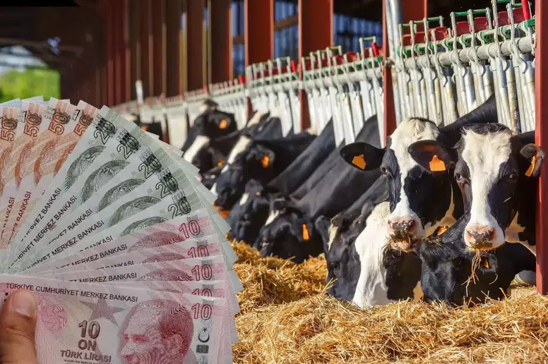 Borsada kritik cuma: 4 dev şirket yarın bilançosunu açıklıyor!