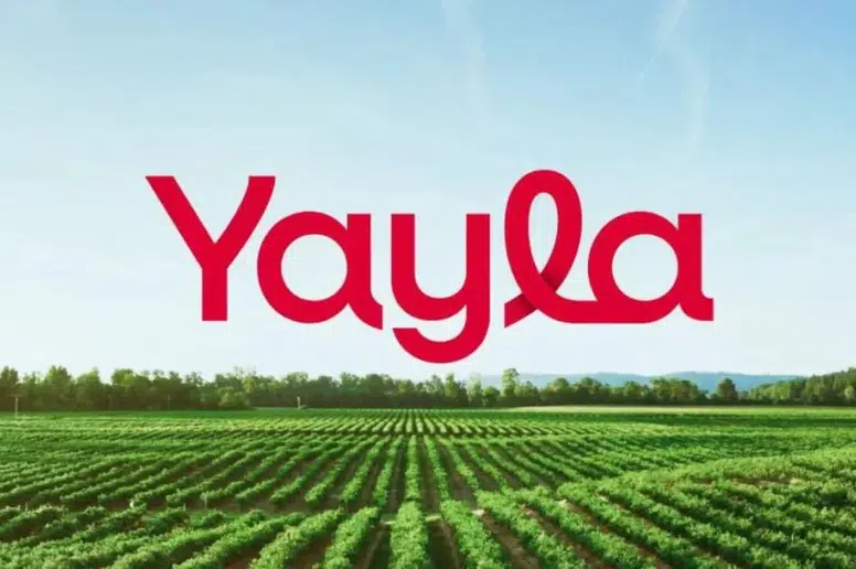 Yayla Gıda Hisselerinde Hedef Fiyat Revizesi: YYLGD İçin %34 Potansiyel!