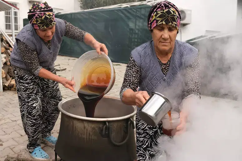 Ayvalık'ta Kadınların 4 Günlük Şifa Mesaisi: Kozalak Şurubu