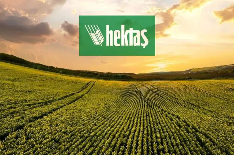 Hektaş Hisselerinde İş Yatırım'dan Dev Alım: 44 Milyon Lot!