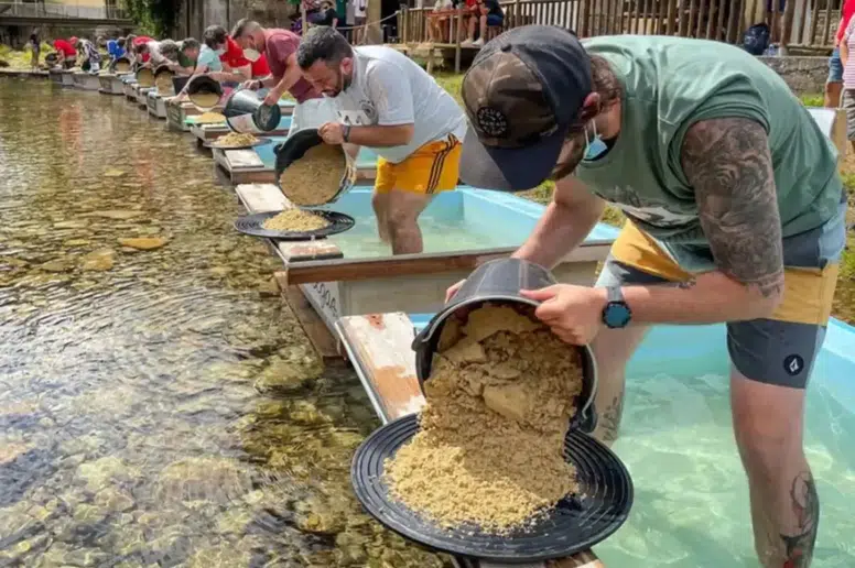Avrupa'nın kalbinde altına hücum: Nehir yatağından avuç avuç toplanıyor!