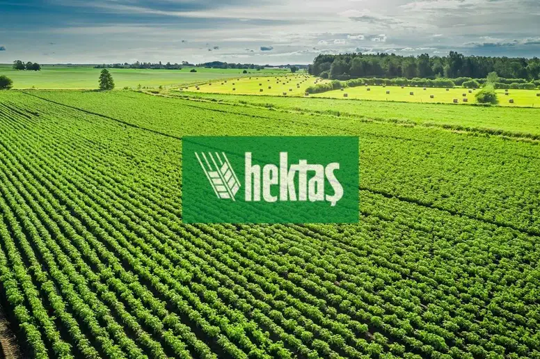 Hektaş (HEKTS) Hisseleri İçin Karar Verildi! 2026 Hedef Fiyatı Güncellendi