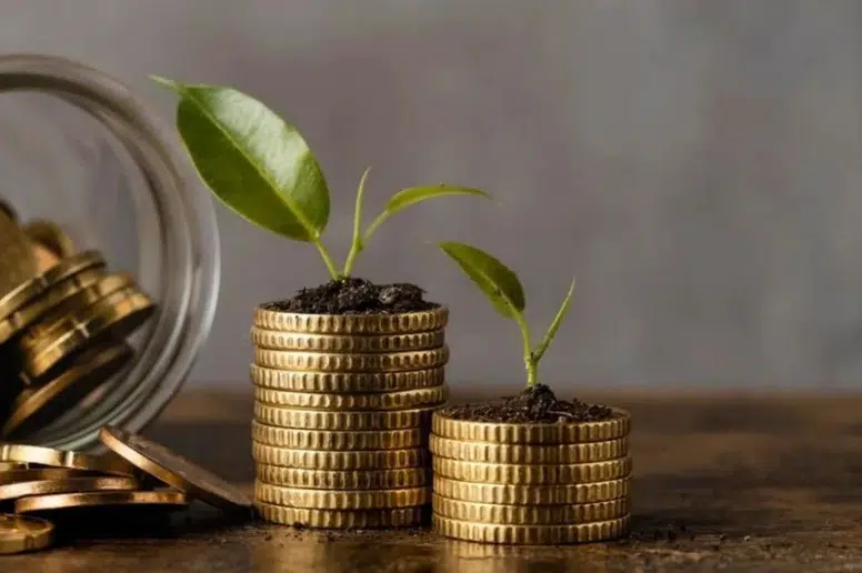 Borsa İstanbul'da Temettü Hareketliliği: 3 Dev Şirket Kararını Açıkladı!